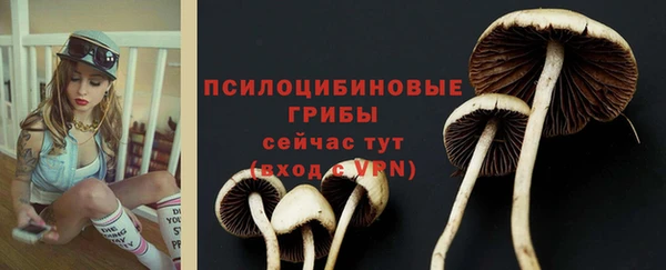 mdpv Бугульма