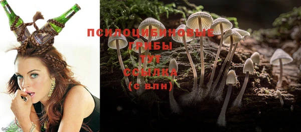 mdpv Бугульма