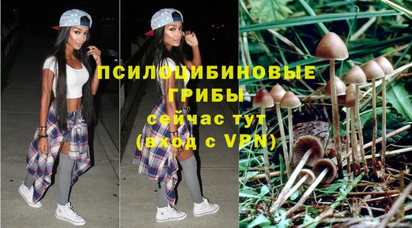 кокаин колумбия Богородицк