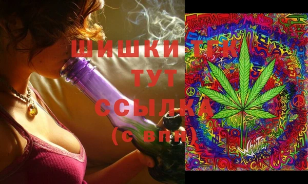 бошки Бронницы