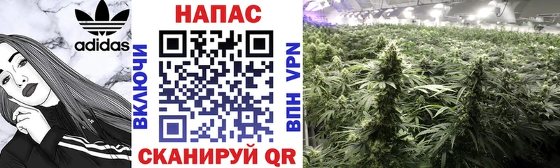 omg маркетплейс  Весьегонск  Канабис Bruce Banner  цена наркотик 